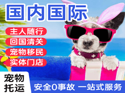 江北航空货运国际宠物托运 【国